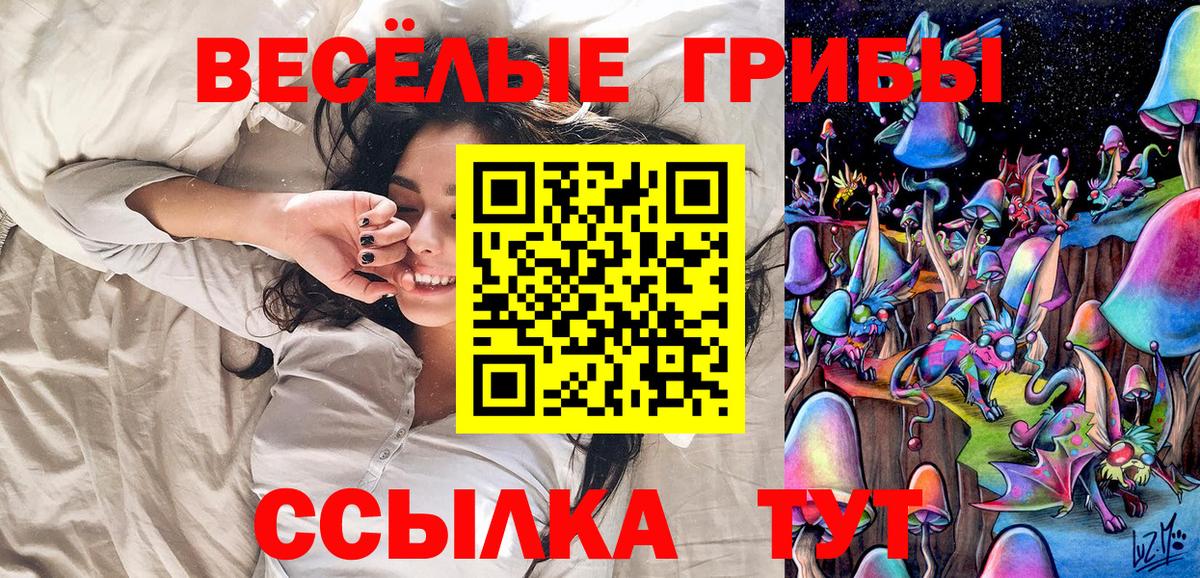 Клин  Галлюциногенные грибы GOLDEN TEACHER  Псилоцибиновые грибы прущие грибы  Вход с VPN 